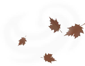 Autumn_ Leaves_ Whirlwind.png PNG Image