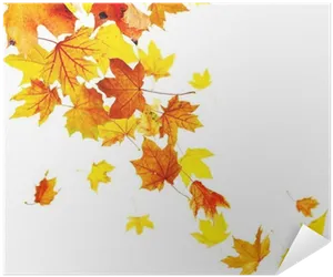 Autumn Leaves White Background PNG Image