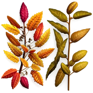 Autumn Mesa Colors Png Jlf50 PNG Image