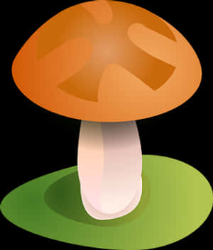 Autumn Mushroom Vector Illustration PNG with transparent background