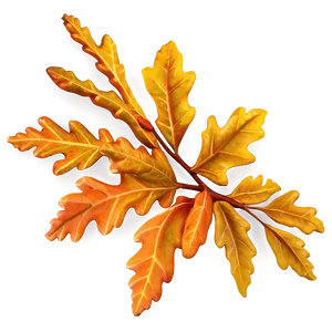 Autumn Oak Leaves Png 06262024 PNG Image