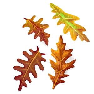 Autumn Oak Leaves PNG 06262024 PNG with transparent background