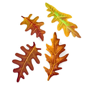 Autumn Oak Leaves Png 06262024 PNG Image