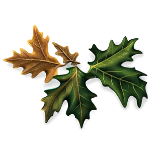 Autumn Oak Leaves Png 36 PNG Image