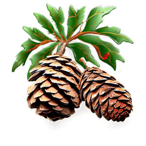 Autumn Pine Cone PNG 76 PNG