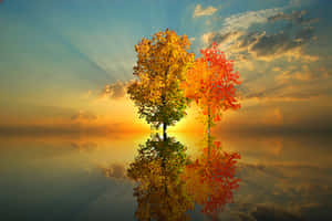 Autumn Reflection Sunset PNG image with transparent background