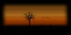 Autumn Sunset Silhouette PNG with transparent background