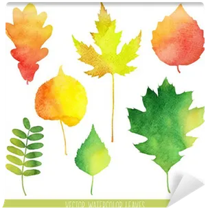 Autumn Watercolor Leaves Collection PNG Image