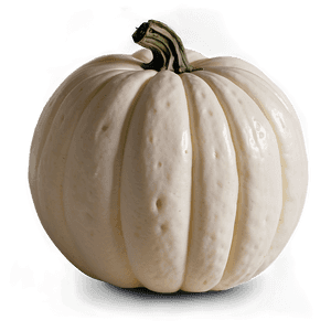 Autumn White Pumpkin PNG 45 PNG