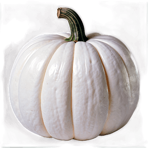 Autumn White Pumpkin PNG 67 PNG