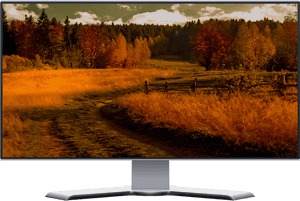 Autumnal Forest Path.jpg PNG image with transparent background