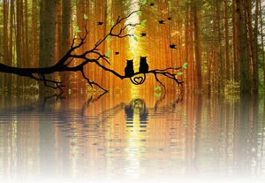 Autumnal Love Reflection PNG Image