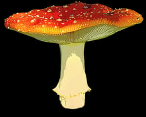 Autumnal Red Mushroom PNG image with transparent background