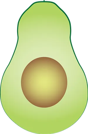 Avocado Vector Illustration PNG Image