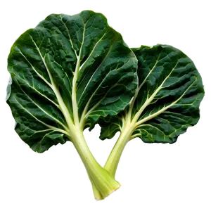 Baby Collard Greens Png 13 PNG Image