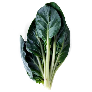 Baby Collard Greens Png Cby PNG Image