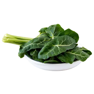 Baby Collard Greens Png Omu30 PNG Image