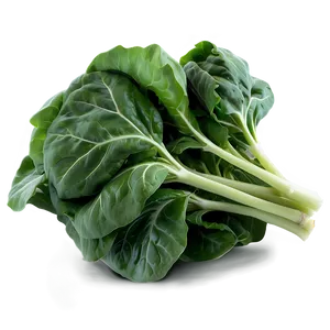 Baby Collard Greens Png Qnd PNG Image