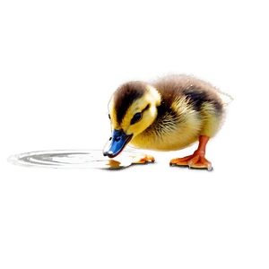 Baby Duckling Walking PNG 55 PNG
