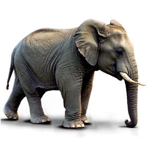 Baby Elephant Adventure Png Mev22 PNG Image