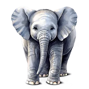 Baby Elephant In Watercolor Png 06122024 PNG Image