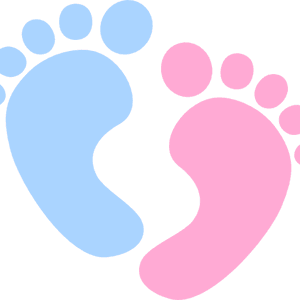 Baby Feet Outline Ba Feet Outline Ba Feet Clip Art - Babys Feet Clip Art, HD Png Download PNG image with transparent background