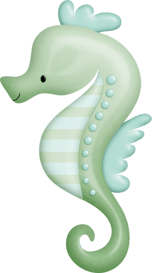 Baby Seahorse Png, Transparent Png PNG image with transparent background