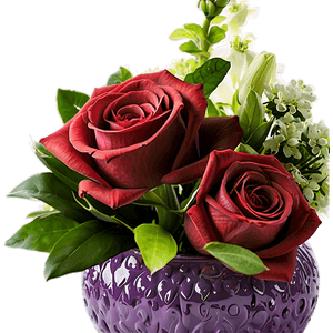 Baby Shower Floral Arrangements PNG 06122024 PNG with transparent background