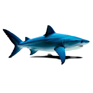 Baby Tiger Shark Cute Png Dxn6 PNG Image