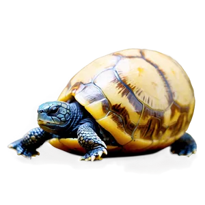 Baby Turtle In Egg Png Unn49 PNG Image