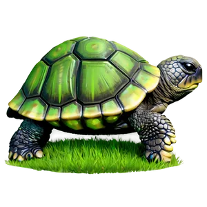 Baby Turtle In Grass Png Xte31 PNG Image