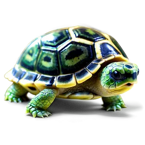 Baby Turtle Png Inb PNG Image