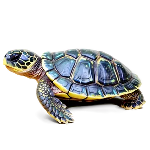 Baby Turtle Transparent Background Png 31 PNG Image