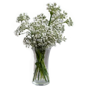 Babys Breath In Vase Png Btn94 PNG Image