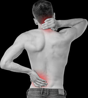 Back Pain Png Image - Sacroiliac Joint On Body, Transparent Png PNG image with transparent background