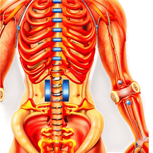 Back Surgery Recovery Tips PNG 17 PNG with transparent background