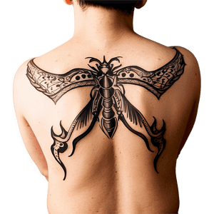 Back Tattoo Designs Inspiration PNG erf53 PNG with transparent background