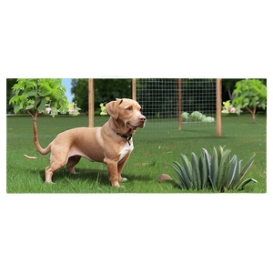 Backyard Pet Paradise PNG oeu PNG with transparent background