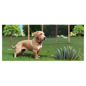 Backyard Pet Paradise Png Oeu PNG Image