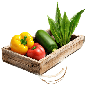 Backyard Vegetable Garden PNG tcb PNG with transparent background