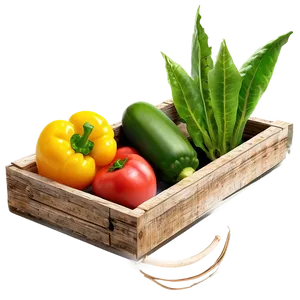 Backyard Vegetable Garden Png Tcb PNG Image