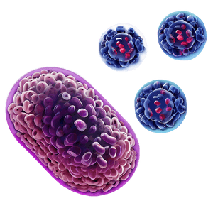 Bacteria Illustration PNG 05242024 PNG