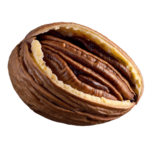 Baked Pecan PNG rka62 PNG with transparent background