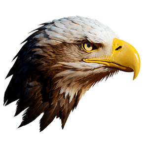 Bald Eagle American Symbol PNG 58 PNG image with transparent background