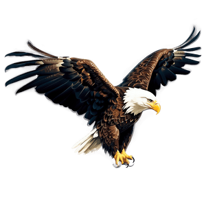 Bald Eagle American Symbol PNG dgn18 PNG image with transparent background
