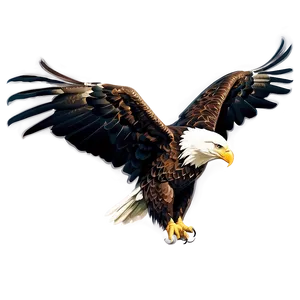 Bald Eagle American Symbol Png Dgn18 PNG Image