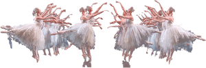 Ballet Swan Lake Png Download Image - Turkey, Transparent Png PNG image with transparent background