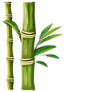 Bamboo Plant PNG ntn75 PNG with transparent background