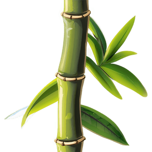 Bamboo Plant PNG tsl2 PNG with transparent background
