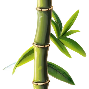 Bamboo Plant Png Tsl2 PNG Image